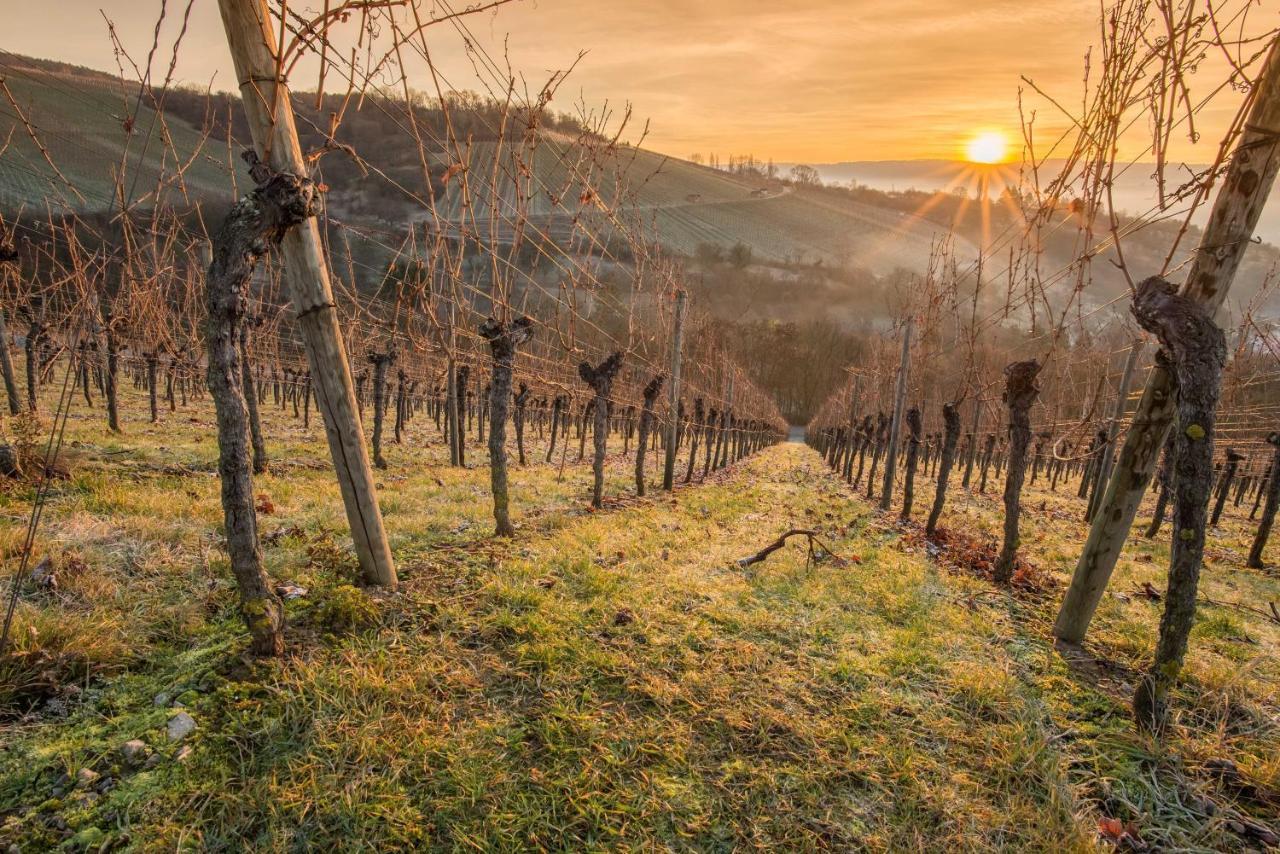 Weinstoeckl Hochgrail Pures Sein Sankt Stefan ob Stainz Exterior foto